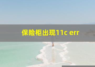 保险柜出现11c err